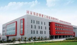 临沂金正大最新爆料,揭秘农业巨头的新动向与挑战
