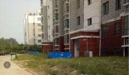 白城一号小区最新爆料,揭秘神秘事件背后的真相