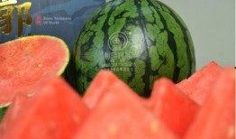 西瓜最新爆料,揭秘娱乐圈惊天秘密！