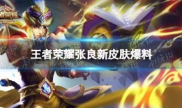王者皮肤爆料网站大全最新,最新皮肤信息汇总盘点